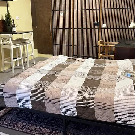 Modern & Cozy With Private Entrance Schiedam